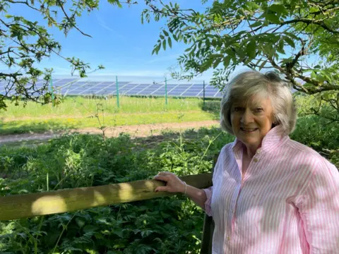 Woman with solar panels near her fence