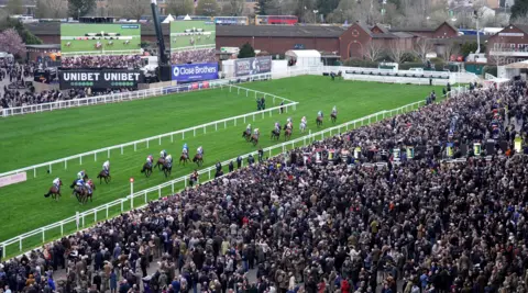 PA Jockeys and their horses running along the bright green racecourse at Cheltenham Festival. The grandstands in the foreground are packed full of crowds. In the distance there are TV screens showing a live zoomed-in view of the race.