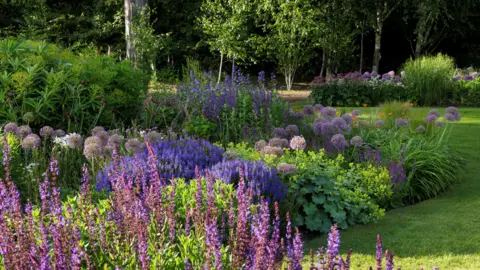 Burghley House A display of purple and green and pink flowers.