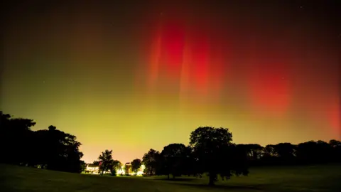 Simon Lea Red and yellow northern lights illuminate the sky over a park with oak trees 