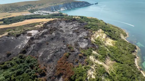 National Trust Images/John Miller A drone shot shows nine hectares of burnt heathland at the edge of a cliff