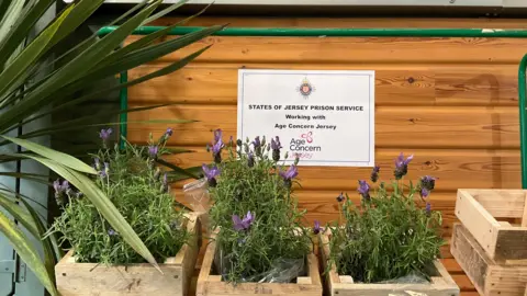 A wall with horizontal wooden panels, on which there is an A4 sign which says 'States of Jersey Prison Service working with Age Concern Jersey'. Beneath the sign are three wooden planters, each holding a green plant with purple flowers.