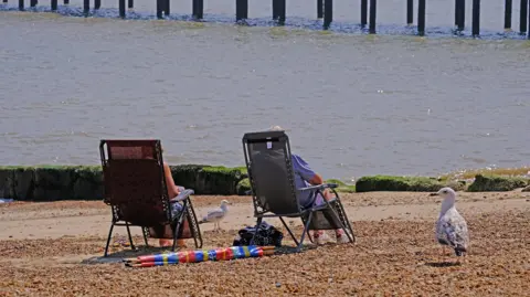 Squiz/BBC Weather Watchers Two people rest in beach chairs on the coast. Their backs are to the camera. There are two seagulls roaming around them and there is a beach umbrella resting on the sand. 