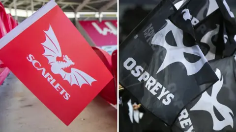 Scarlets and Ospreys supporters' flags