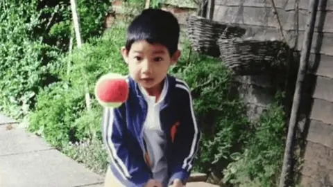 Family photo A young child with short dark hair in a blue top, standing in a garden looking at a large ball in the air