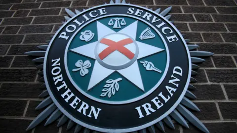 The PSNI emblem on a brick wall. It consists of a torch, scales, a leaf, a shamrock and a crown.