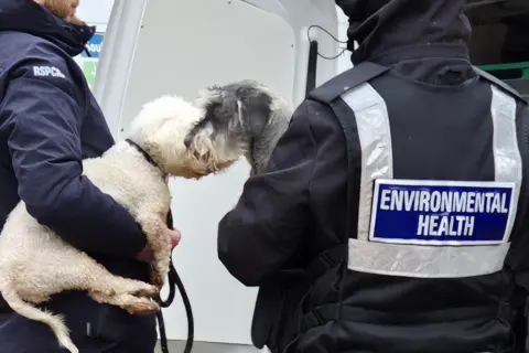 Staffordshire Police An RSPCA officer and an environmental health officer both hold rescued dogs. One of the dogs, which has a lead, has a white coat and the other has shaggy fur and is white and grey. The two dogs are leaning towards each other and nuzzling.