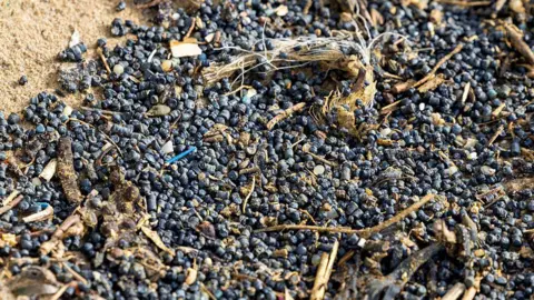 Getty Images Hundreds of small black biobeads on a sandy beach
