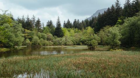Ennerdale Forest, located on the north western edge of the Lake District National Park and is one of the longest running wild land restoration projects in the UK