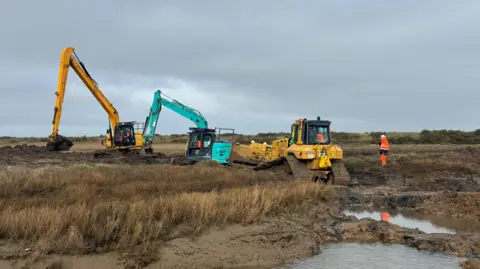 RSPB Two yellow diggers and one turquoise one work on the marsh, which is covered in grasses. There is a water-filled muddy channel in front and a worker in high-vis clothing to the right of the photo.