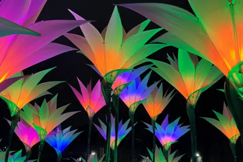 Ken Lawton Bright installations at the Spectra light festival in Aberdeen, flower-shaped lights in orange, blue, pink and green.