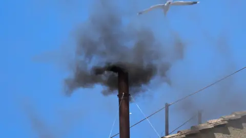 Bird flies over chimney that billows black smoke 