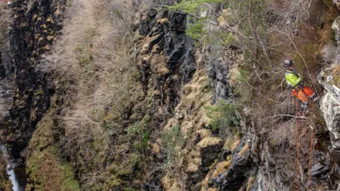 NTS A contractor wearing protective clothing and a hard hat abseils down into the gorge. The rocky crags are covered in vegetation.