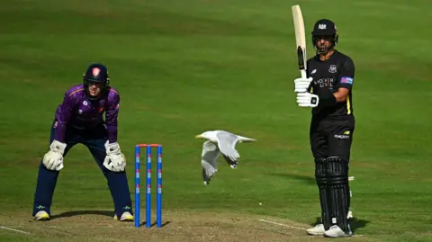 Getty Images Players from Essex and Gloucestershire stand at the wicket in Bristol as a seagull flies past them