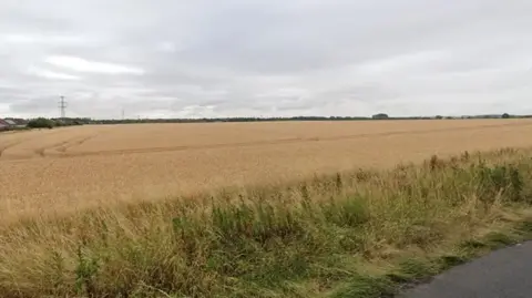 A view of part of the proposed site from a road. It is a field of golden crops with housing in the distance and electricity pylons overhead under a grey sky. 