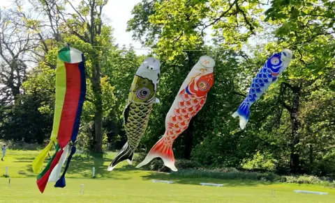 Janina Dolny Four brightly coloured Japanese fish-shaped wind socks blowing in the wind on a bright day.