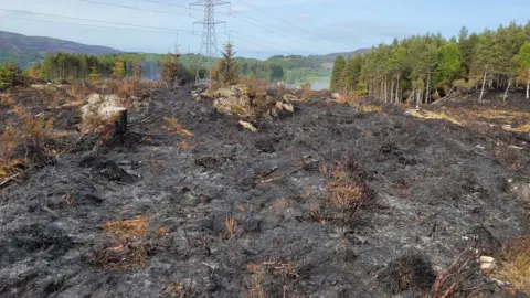 Balintore Fire Station/SFRS Damage caused by wildfire