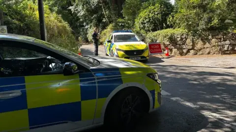 Police cars stand in the village of Haytor 