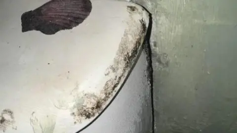 ldrs Dark mould marks line the white top of the toilet cistern.