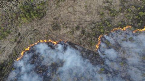 A fire burning a dried up field - view from the sky