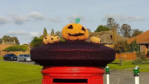 Maxine Simons A knitted post-box topper 