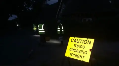 Warminster Toad Patrol A nighttime shot of three people, just visible in high-vis jackets, with an illuminated sign in the foreground saying 'Caution Toads Crossing Tonight'