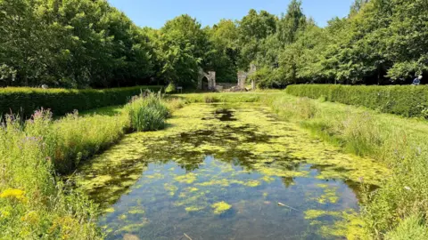 Skywatcher Wendy A pond with green algae on the edges. There are glass verges on either side and the ruins of a stone building are in the centre at the back. Trees are surrounding the area and the sky above is blue and cloudless.
