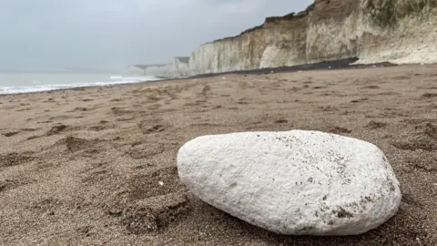 George Carden/BBC A large slab of chalk on Birling Gap beach on the sand with the cliffs in the background