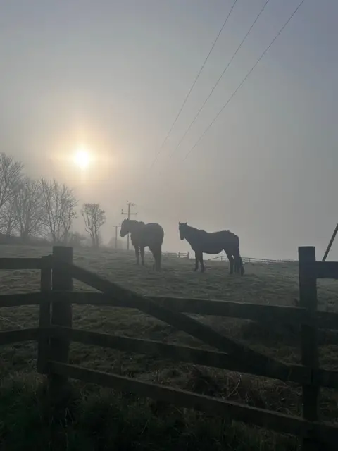 Claire Ednie A misty day, with two horses visible in a field among the gloom