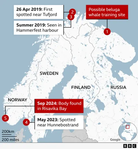 Map showing the route thought to have been taken by the beluga whale, from the Russian Arctic to southern Scandinavia.