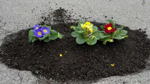 Pothole filled with flowers.