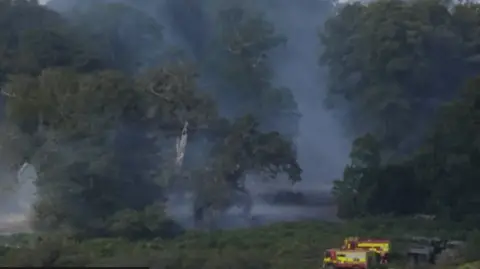 Andrew Matthews/PA Wire View of a wildfire in a forest, with fire engines in the foreground.