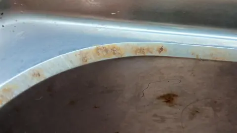 Alison Theaker Rust is seen along the side of the stainless steel sink bought from Ikea which was 11 months old.
