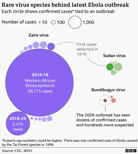 Bubble chart titled “Rare virus species behind latest Ebola outbreak,” where circle size represents confirmed cases. A very large purple circle shows the 2014–16 West African epidemic with 28,715 cases, far exceeding others, alongside a smaller 2018–20 outbreak with 3,470 cases. Smaller clusters represent Zaire, Sudan, and Bundibugyo virus outbreaks; Sudan shows moderate case circles, while Bundibugyo includes a highlighted 2026 outbreak with over 50 confirmed and more than 600 suspected cases. A note states Ebola was first detected in 1976 and that case numbers may be underestimates. Source: CDC, WHO.