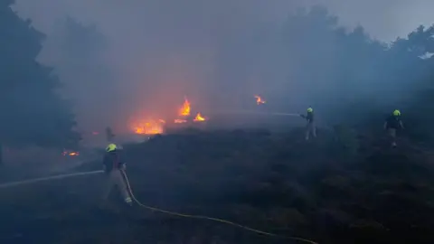 Several firefighters battle a large heathland blaze with hoses. Flames can be seen in sporadic spots on the smoke-filled heath with trees and shrubbery surrounding the scene. 