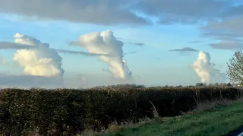 Jackie Matthewman The picture shows three vertical cloud plumes that come from behind a hedge, which runs along the photo. The plumes have white and grey tinges in them. 