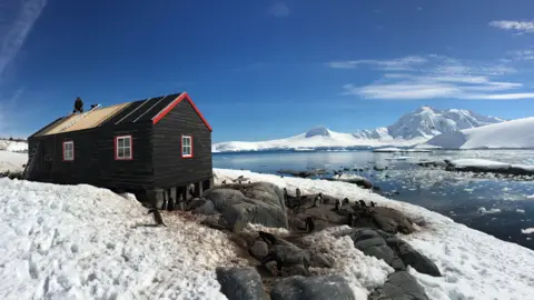 A snowy, arctic landscape is pictured showing penguins scattered around a small black building. Beside the snow is a large blue lake, with snowy mountains in the background. The black building has a person standing on top, doing works on its roof.