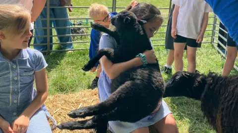 Three school children in a sheep pen. One schoolgirl in a summer uniform dress is sitting on a hay bale holding a black lamb. A second schoolgirl watches. In the background there is a black ewe and several other school children.