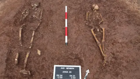 Two skeletons are uncovered