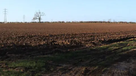 SKDC Fields with two electricity pylons and a big tree in the far distance