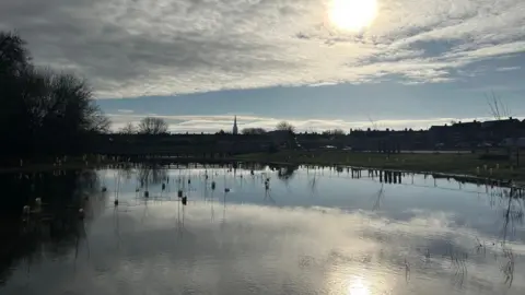 A wetland that is part of the Avon river. The arrow of the Salisbury cathedral can be seen in the background.