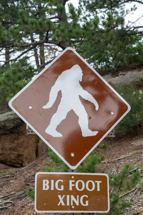 Getty Images A brown sign is pictured on the highway leading to the summit of Pikes Peak in Colorado Springs, Colorado, which announces a Big Foot crossing. A white big foot figure is seen in the centre of the sign, with the label "big foot xing" sitting below the triangular sign.