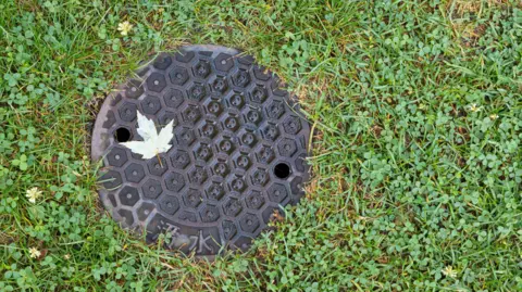 A sewer cover on green grass. 