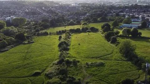 An aerial view of a large suburban green space divided by trees and hedgerows. Rows of streets are visible in the background. 