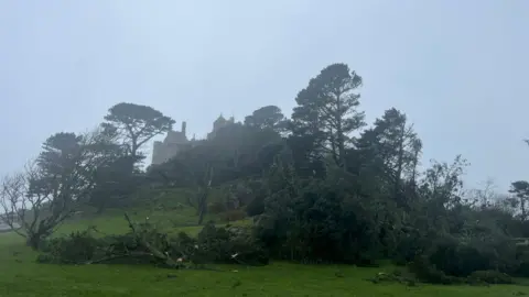 Some of felled pine trees and branches lying on a slope on St Michael's Mount on a dark and foggy day. Part of the castle can be seen through the mist.