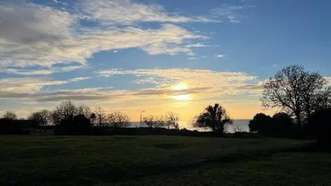 Midas Mick The sun rises above the trees. 