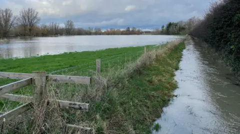Becky Green Flooded Water meadow and pathway 