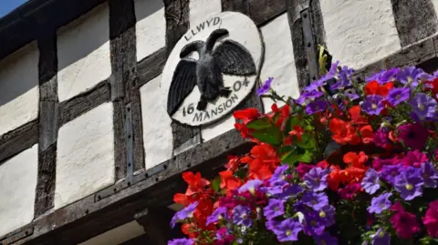 Grum The side of a black and white timbered building with red and purple flowers in the foreground and a black and white sign which reads Llwyd Mansion 1604