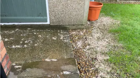 Judy Washington Elements of raw sewage including bits of tissue paper are seen strewn across a concrete driveway and pebbles and grass on the edge of a lawn. A bucket and a garden shed can be seen in the background.