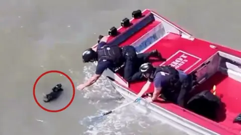Two men in a boat reach over the side to grab a black dog swimming in the water.